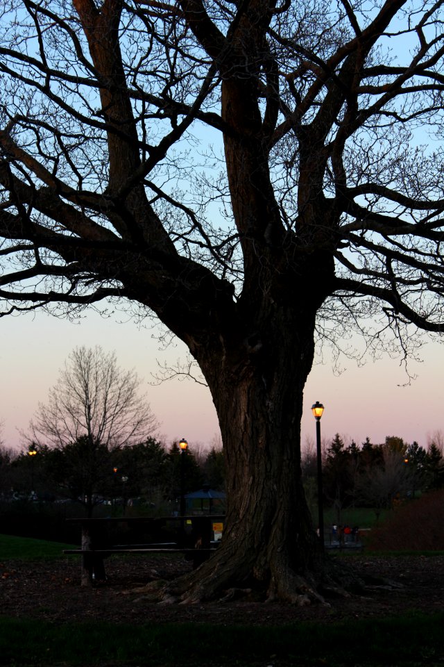May 2018, Milliken Park8