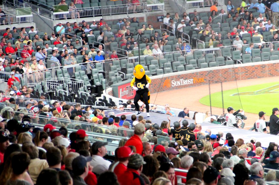 May 2017 GT vs. UGA baseball - Buzz dancing on dugout 3