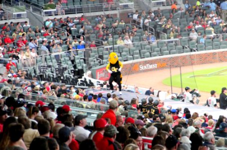 May 2017 GT vs. UGA baseball - Buzz dancing on dugout 3