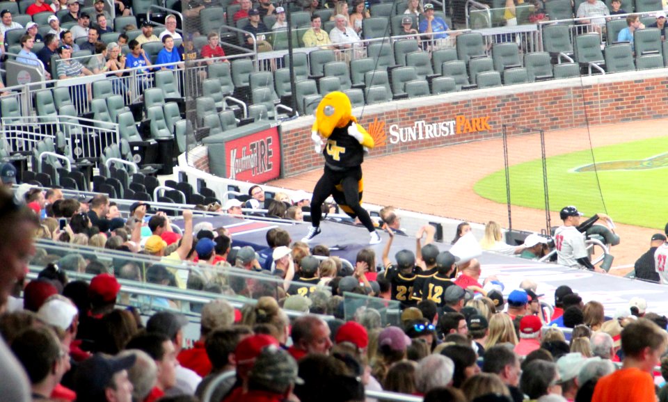May 2017 GT vs. UGA baseball - Buzz dancing on dugout 2