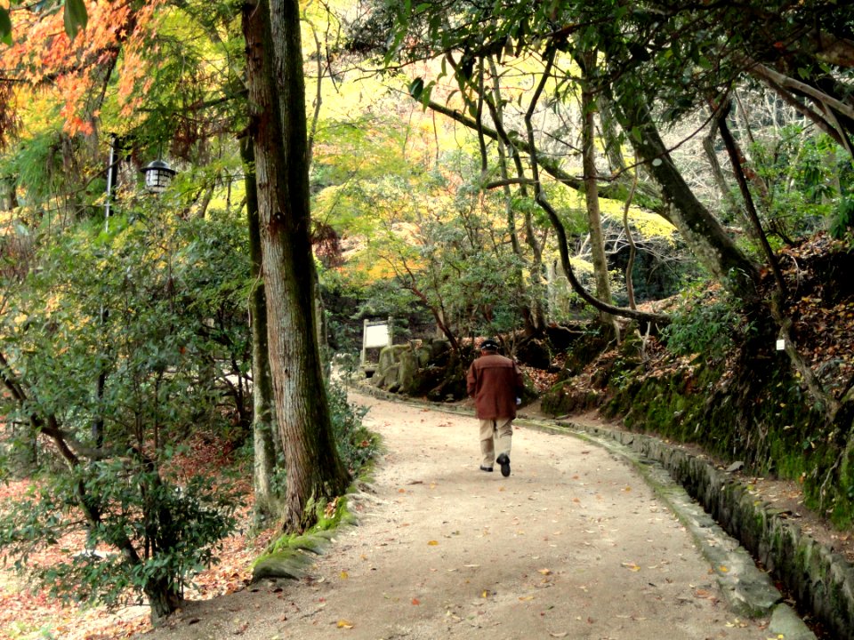 Momijidani Climbing Course (Mount Misen, Miyajima) - DSC01956