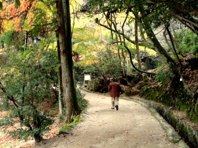 Momijidani Climbing Course (Mount Misen, Miyajima) - DSC01956 photo