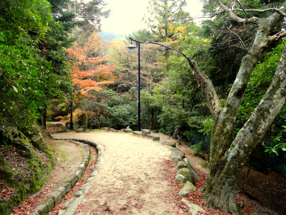 Momijidani Climbing Course (Mount Misen, Miyajima) - DSC01962
