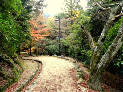 Momijidani Climbing Course (Mount Misen, Miyajima) - DSC01962 photo