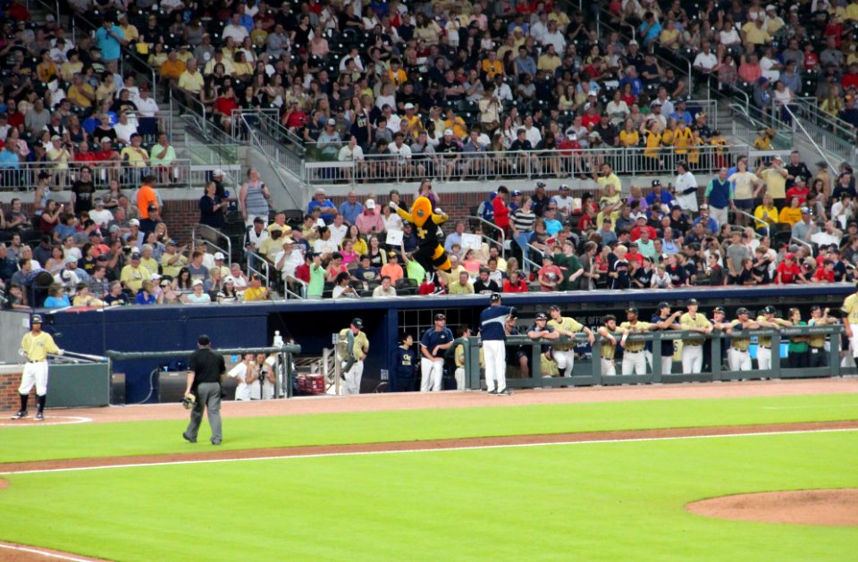 May 2017 GT vs. UGA baseball - Buzz dancing on dugout 5