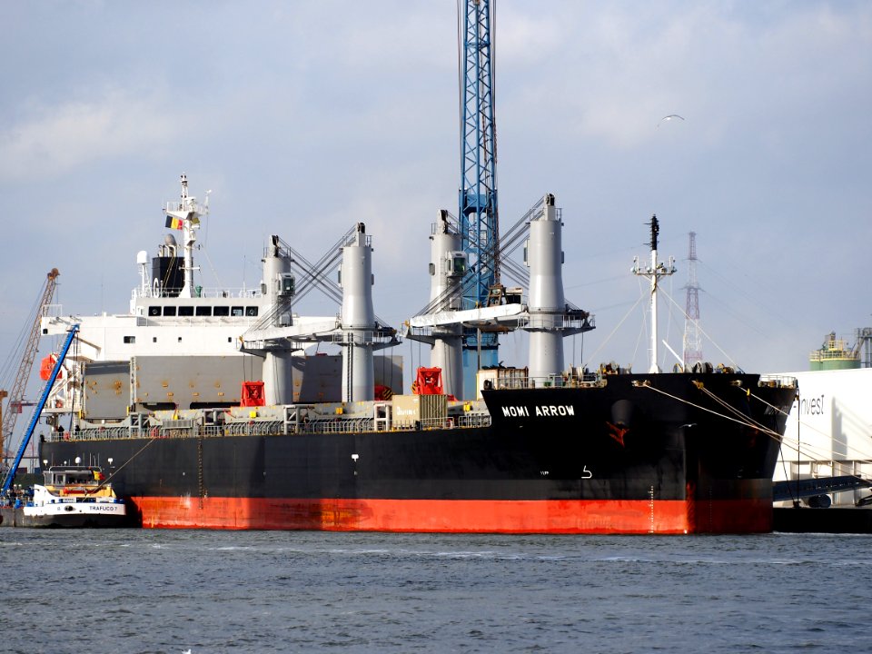 Momi Arrow (ship, 2009) IMO 9385506 Port of Antwerp