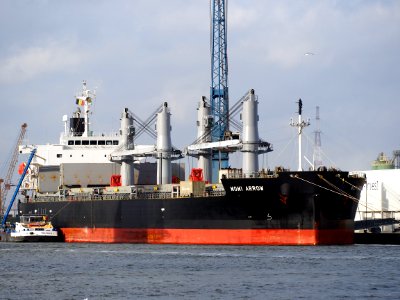 Momi Arrow (ship, 2009) IMO 9385506 Port of Antwerp