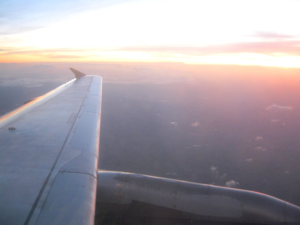 Monarch Sunrise Wing