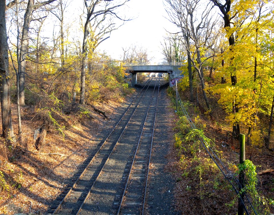 Mon Branch east Forest Park jeh