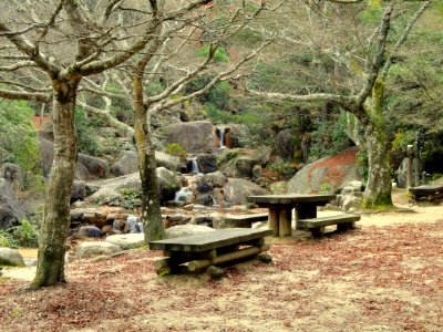 Momijidani Climbing Course (Mount Misen, Miyajima) - DSC01976
