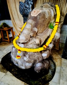Monolithic Ganesha, Biccavolu, Andhra Pradesh - 04