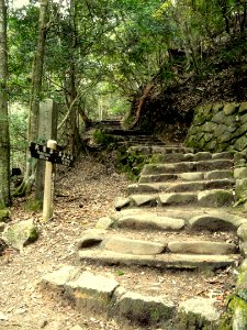 Momijidani Climbing Course (Mount Misen, Miyajima) - DSC01982 photo