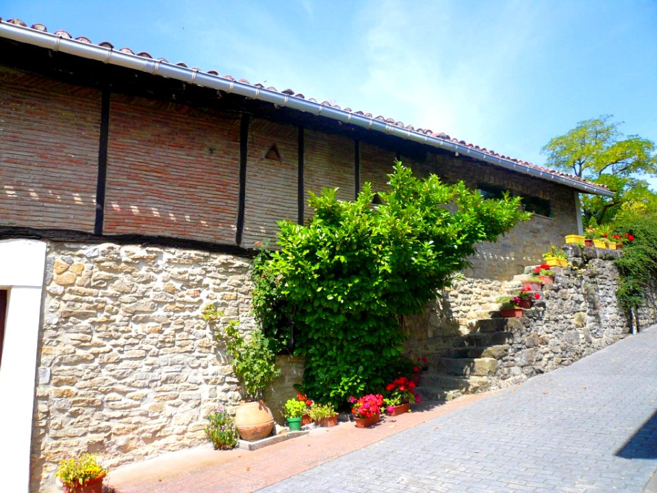 Monasterioguren (Vitoria) 18
