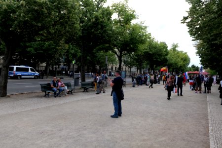 Monarchist protest in front of the Russian embassy in Berlin 2020-08-28 03