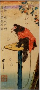 Monkey and cherry blossoms, by Utagawa Hiroshige, Edo period, 1800s AD, print - Ishikawa Prefectural Museum of Traditional Arts and Crafts - Kanazawa, Japan - DSC09559