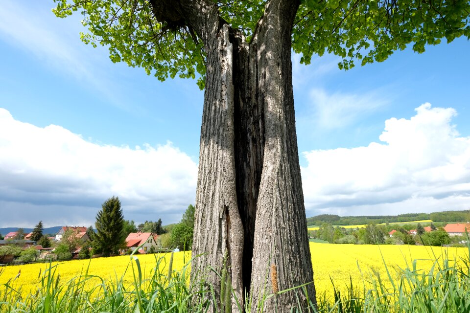 Nature mountains panorama