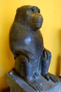 Monkey, MC inv. 26, Egyptian, 30th dynasty, 359-341 BC, granite, view 2 - Musei Capitolini - Rome, Italy - DSC06201