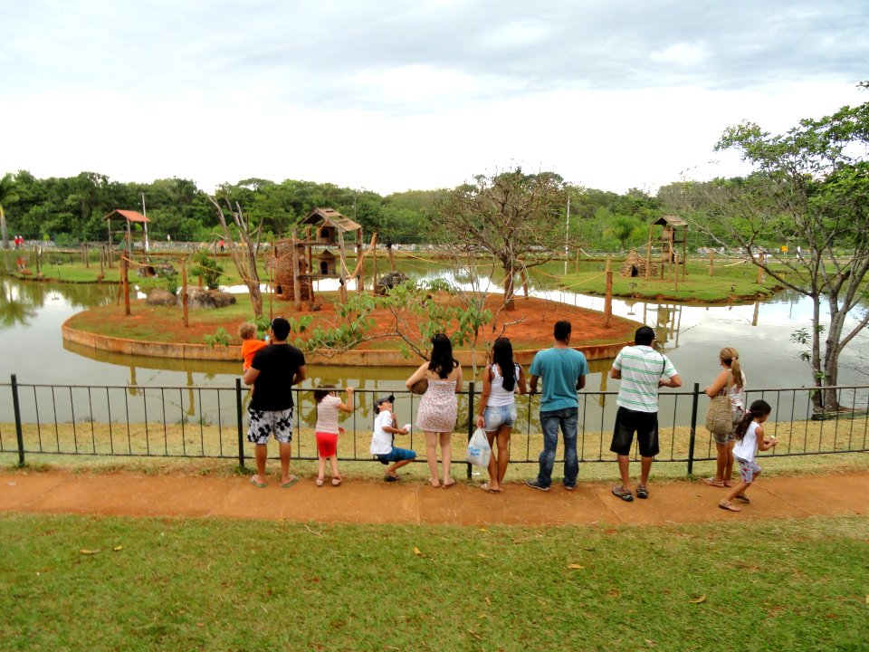 Monkey island - Jardim Zoológico de Brasília - DSC09955
