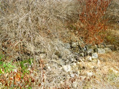 Monroe Furnace ruins