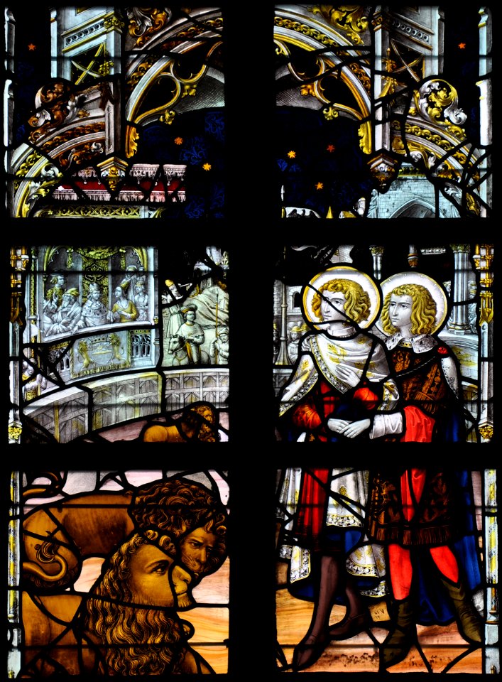 Mons Sainte Waudru Vitrail 12 02 2012 06