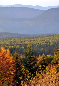 Mont Saint-Odile 1 11 2011 2