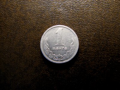Mongolian coin 05 photo