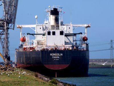 Mongolia, IMO 9041069 pic1