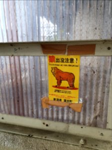 Monkeys sign in Yuzawa