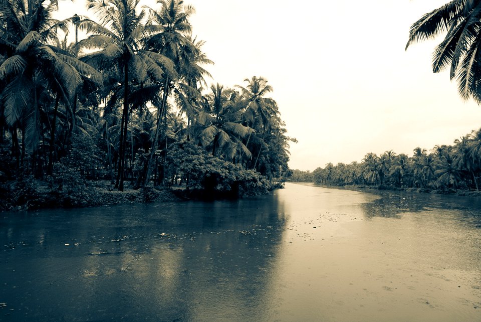 Monsoon River (218168475)