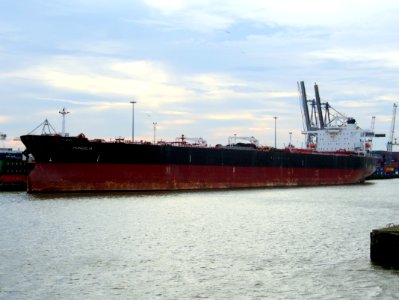 Mongolia - IMO 9041069 - Callsign V7JC9 Port of Rotterdam pic3