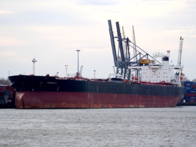 Mongolia - IMO 9041069 - Callsign V7JC9 Port of Rotterdam pic2