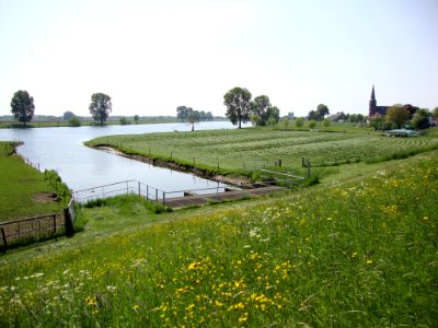 Monding Nieuwe Wetering in Maas, Appeltern (Gld, NL)