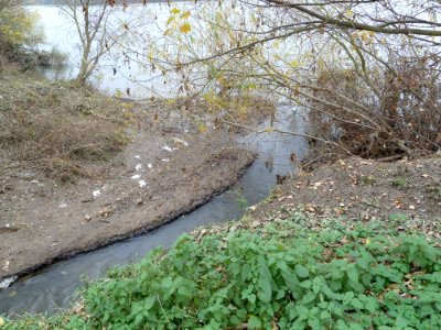 Monding van de Voer in de Maas (1)