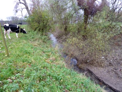 Monding van de Voer in de Maas (2)