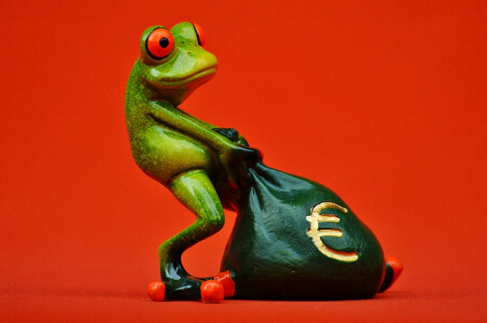 Bag money bag funny