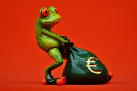 Bag money bag funny