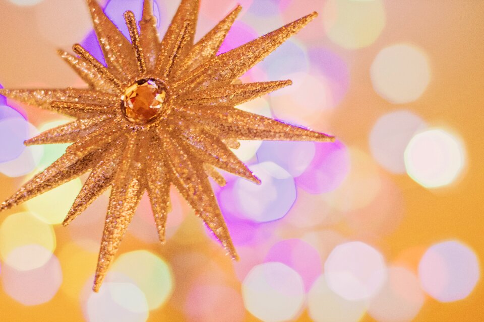 Decoration christmas celebration