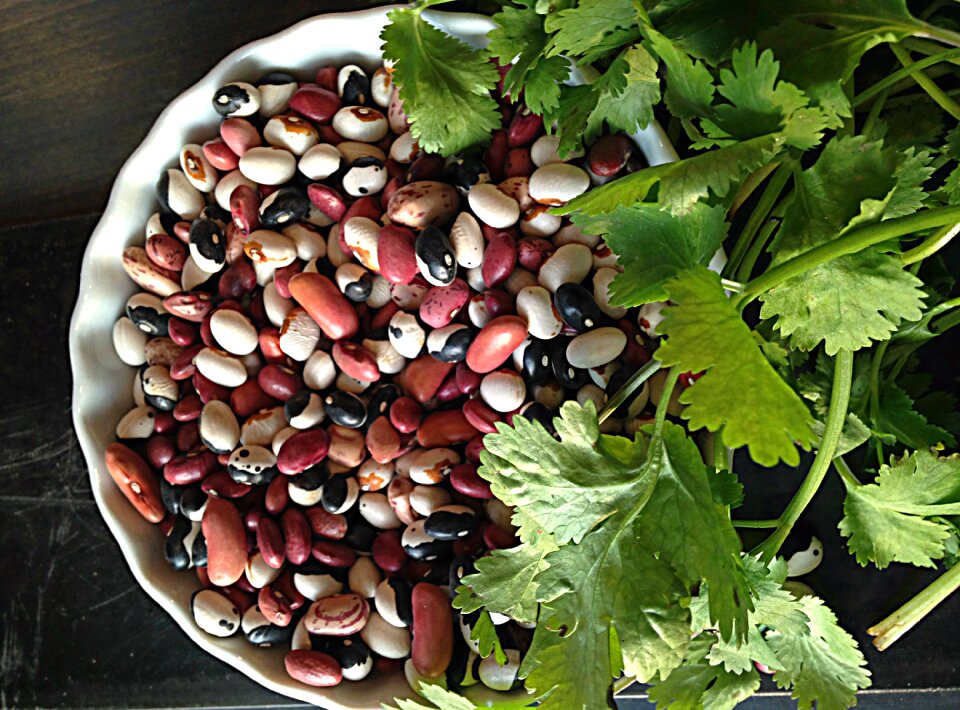 Table fresh bowl photo