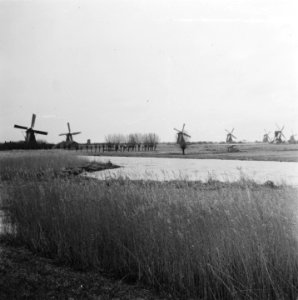 Molens te Kinderdijk, Bestanddeelnr 901-5397