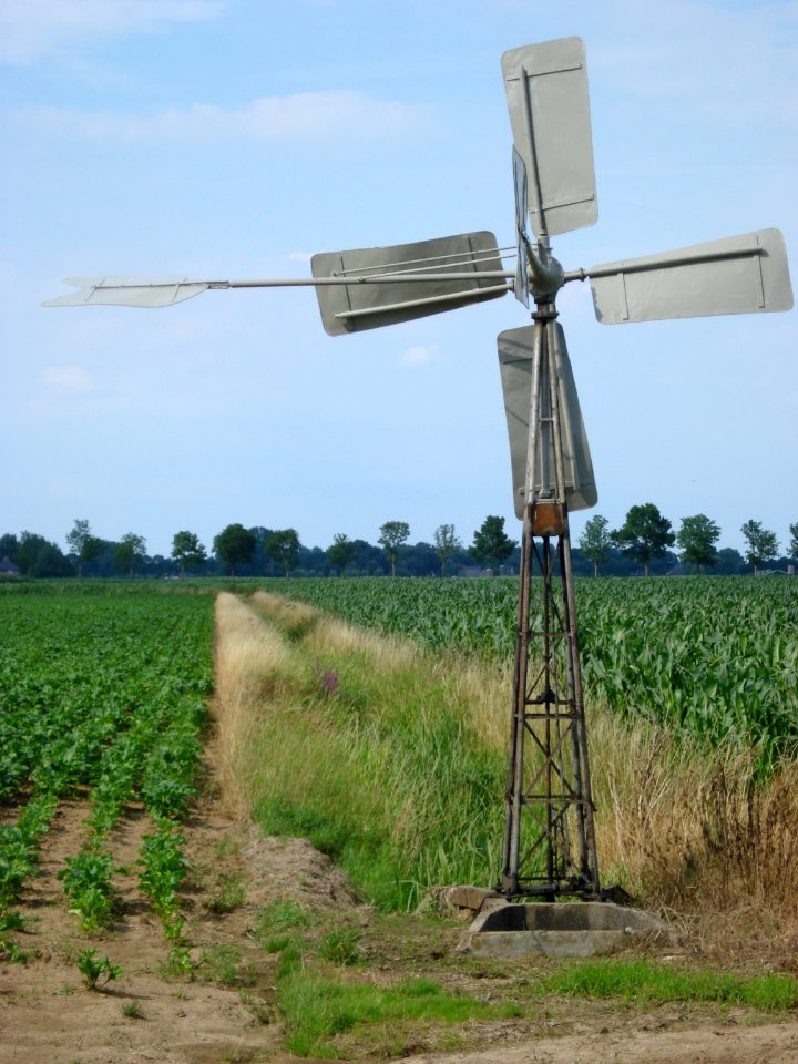 Molentje in de Beerse Overlaat
