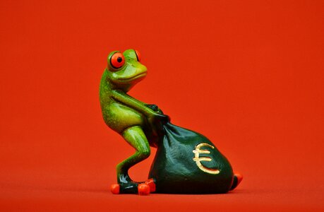 Bag money bag funny