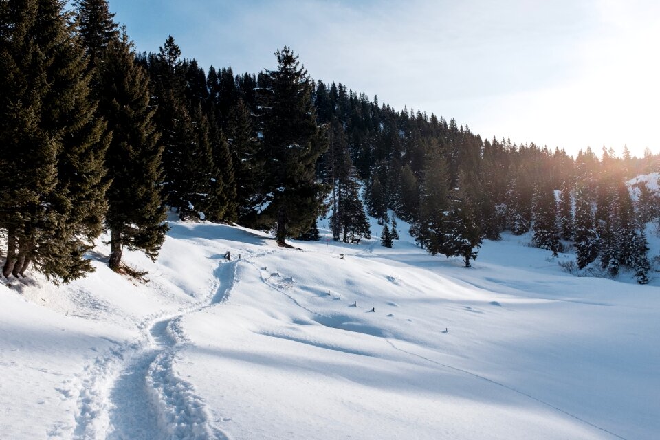 Mountain nature outdoors