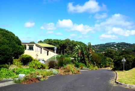 Molteno Library and Research Centre - Kirstenbosch - SANBI - Cape Town 6