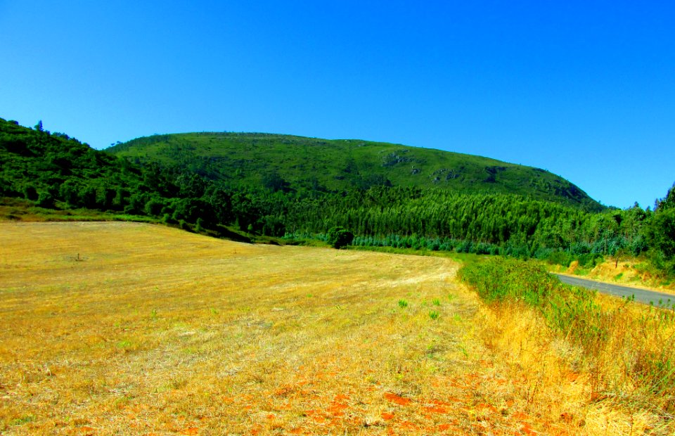 Montejunto Mount Landscaps And Vinyiards (119973839)