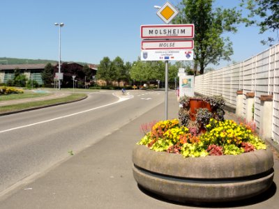 Molsheim (Bas-Rhin) city limit sign