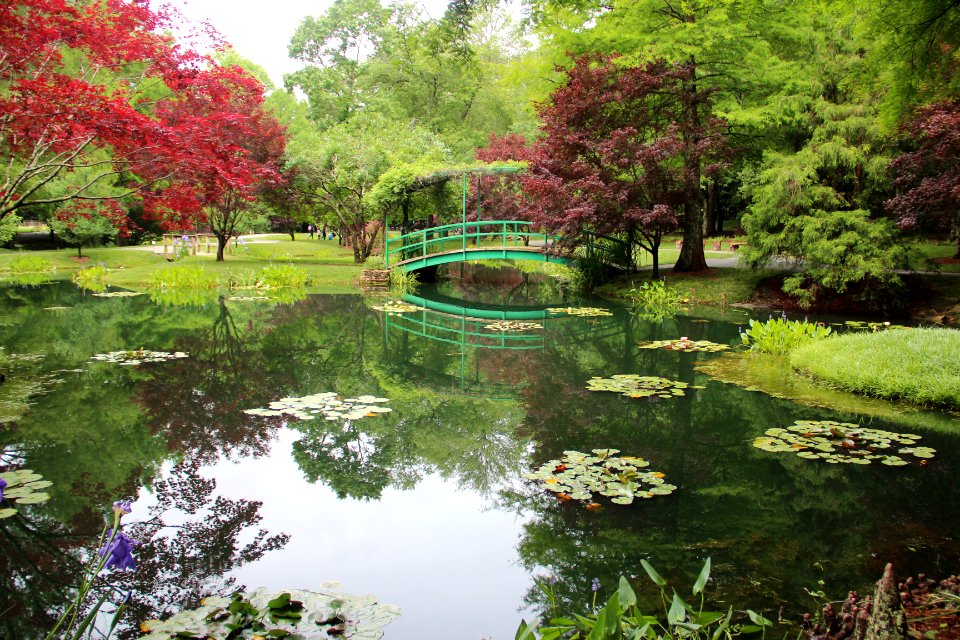 Monet Bridge, Gibbs Gardens, May 2017