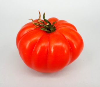 Monterosa tomato 2017 C1