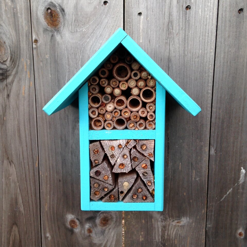 Pollinate pollination garden