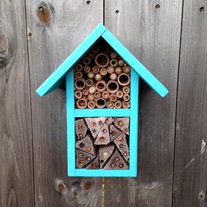 Pollinate pollination garden