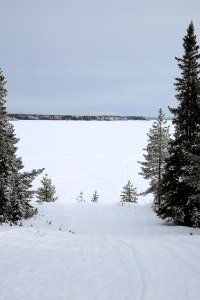 Montaja Simo 20170311 02